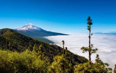 Reykjavík Geothermal and DISA secure licenses to advance geothermal projects in Tenerife